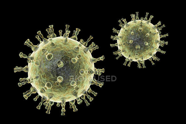 Ilustração computadorizada de partículas de vírus varicela zoster, a causa da varicela e telhas. O vírus da varicela zoster também é conhecido como vírus do herpes humano tipo 3 (HHV-3 ) — Fotografia de Stock