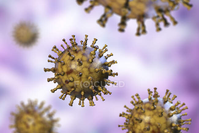 Комп'ютерна ілюстрація частинок вірусу вітряної віспи, причина вітряної віспи та черепиці. Вірус вітряної віспи також відомий як вірус герпесу людини 3 типу (HHV-3 ) — стокове фото