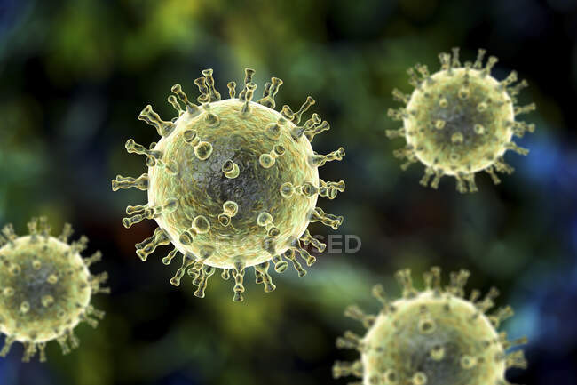 Ilustración por computadora de las partículas del virus varicela zóster, la causa de la varicela y el herpes zóster. El virus varicela zóster también se conoce como virus del herpes humano tipo 3 (HHV-3 ) - foto de stock