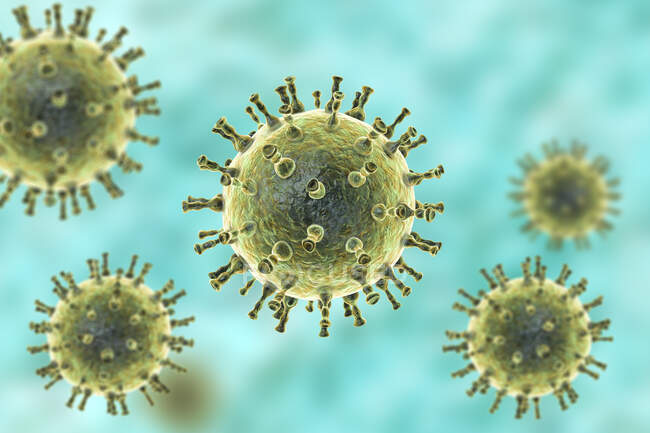 Комп'ютерна ілюстрація частинок вірусу varicella zoster, причина вітряної віспи та шилінґлів. Вірус варіцелли також відомий як вірус людини герпесу типу 3 (HHV-3).) — стокове фото