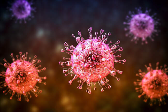 Citomegalovirus humano (HCMV), ilustración por ordenador. HCMV es miembro de la familia del herpesvirus - foto de stock