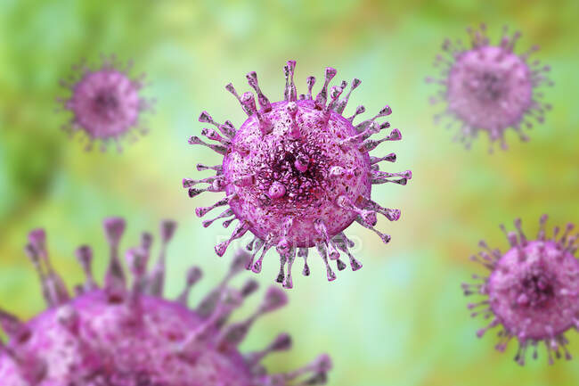 Citomegalovírus humano (HCMV), ilustração computacional. HCMV é membro da família de herpesvírus — Fotografia de Stock