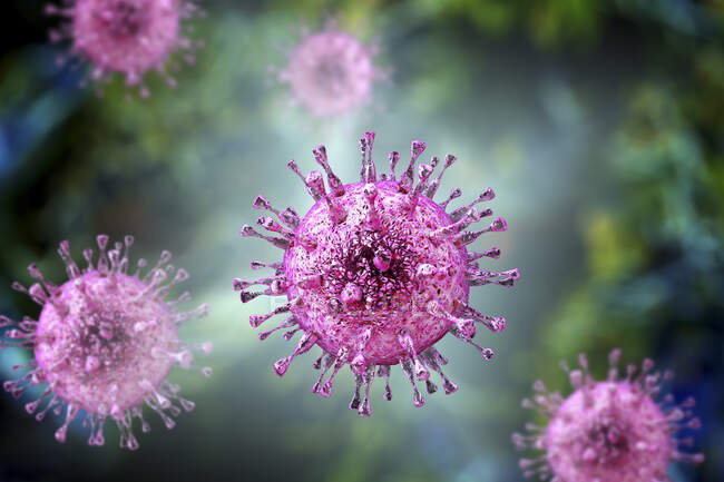 Citomegalovirus humano (HCMV), ilustración por ordenador. HCMV es miembro de la familia del herpesvirus - foto de stock