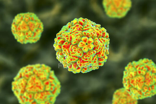 Enterovirus, illustrazione al computer. Enterovirus è un genere di virus dell'RNA a senso positivo della famiglia Picornaviridae — Foto stock