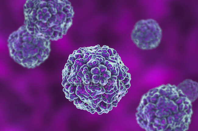 Enterovírus, ilustração computacional. Enterovirus é um género de vírus da família Picornaviridae. — Fotografia de Stock