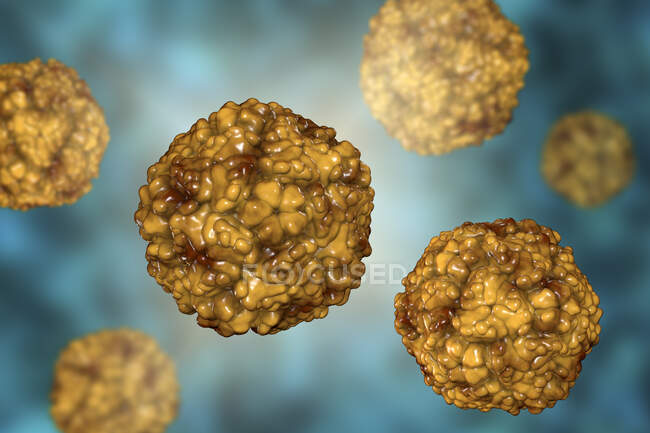 Ентеровіруси, комп'ютерна ілюстрація. Ентеровірус (англ. Enterovirus) - рід вірусів РНК позитивного сенсу родини Picornaviridae. — стокове фото