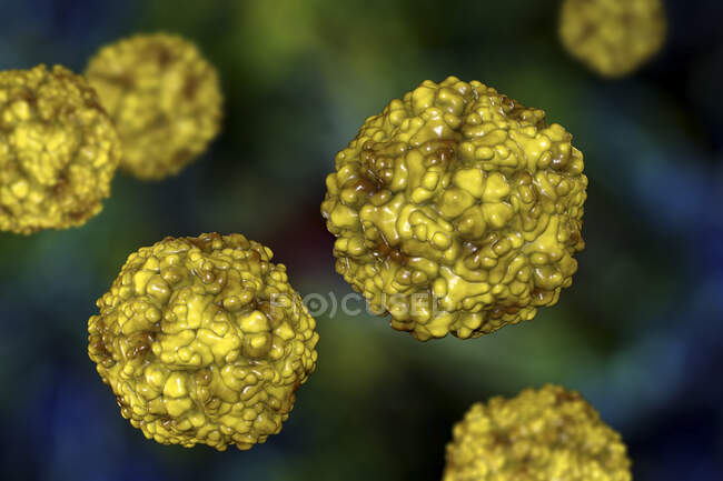 Enterovirus, ilustración por ordenador. Enterovirus es un género de virus ARN de sentido positivo de la familia Picornaviridae. - foto de stock