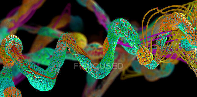 Molécules protéiques, illustration 3D — Photo de stock