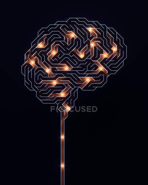 Людський мозок, концептуальна ілюстрація — стокове фото