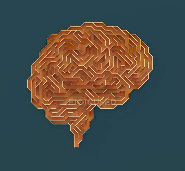 Cérebro humano, ilustração conceitual — Fotografia de Stock