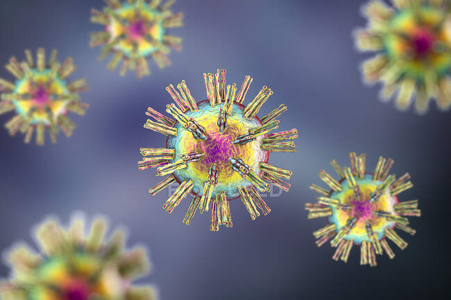 Herpes-simplex-Viren, Computerillustration — Stockfoto