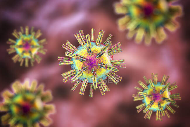 Virus del herpes simple, ilustración por computadora - foto de stock
