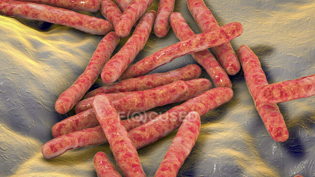 Бактерії туберкульозу. Комп'ютерна ілюстрація бактерій Mycobacterium tuberculosis, грам-позитивних паличкоподібних бактерій, які викликають хворобу туберкульозу. — стокове фото