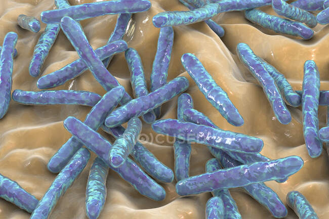Tuberkulose-Bakterien. Computerillustration von Mycobacterium tuberculosis Bakterien, den grampositiven stabförmigen Bakterien, die die Krankheit Tuberkulose verursachen — Stockfoto