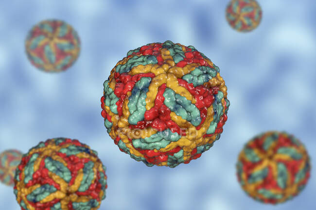 St. Louis encephalitis virus particles, computer illustration — Stock Photo