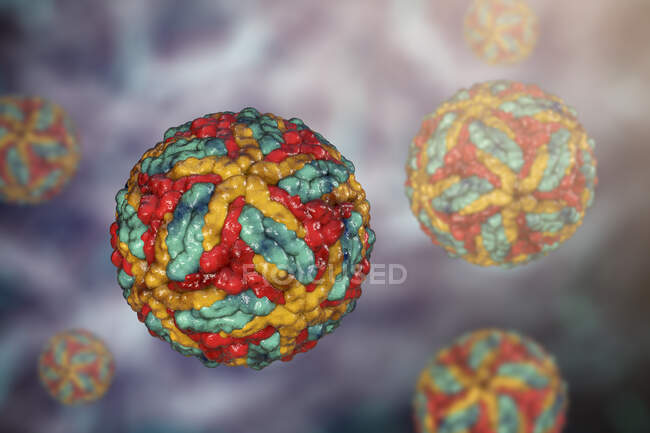 Partículas do vírus da encefalite de St. Louis, ilustração do computador — Fotografia de Stock