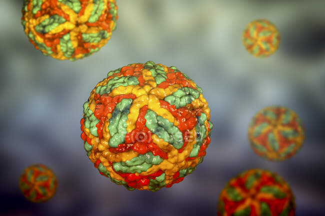 Particules de virus de l'encéphalite de Saint-Louis, illustration informatique — Photo de stock