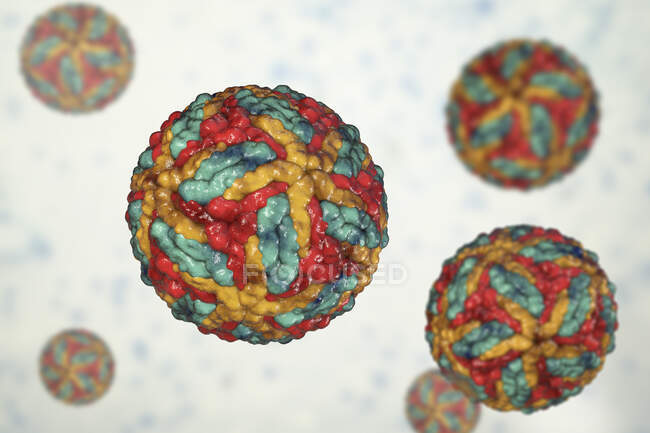 Вірусні частинки Сент-Луїса, комп'ютерна ілюстрація — стокове фото