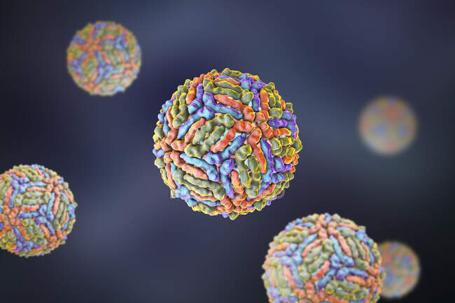 Частинки вірусу Західного Нілу, комп'ютерна ілюстрація. Вірус Західного Нілу, як відомо, викликає енцефаліт у людей.. — стокове фото