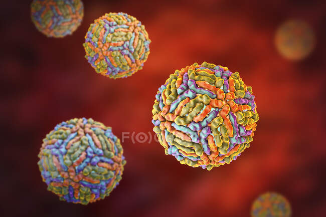 Partículas de vírus do Nilo Ocidental, ilustração computacional. Sabe-se que o vírus do Nilo Ocidental (WNV) causa encefalite em humanos . — Fotografia de Stock