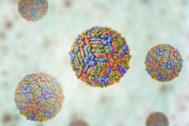 West-Nil-Viruspartikel, Computerillustration. West-Nil-Virus (WNV) verursacht Enzephalitis beim Menschen. — Stockfoto