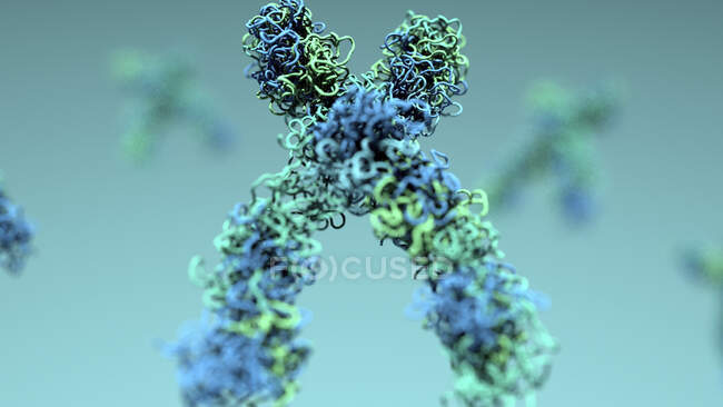 Chromosomen, Illustration. Chromosomen bestehen aus Desoxyribonukleinsäure (DNA) und enthalten Abschnitte, sogenannte Gene, die die genetische Information des Körpers codieren. — Stockfoto