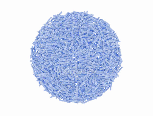 Streptococcus pneumoniae bacteries (пневмококи), комп'ютерна ілюстрація. Ці грам-позитивні сферичні бактерії, як правило, зустрічаються парами. Вони колонізують дихальні шляхи асимптоматично на здорових носіях, але можуть викликати пневмонію. — стокове фото