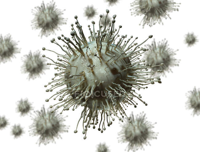 Partículas de virus conceptuales aisladas sobre fondo blanco, ilustración por ordenador - foto de stock
