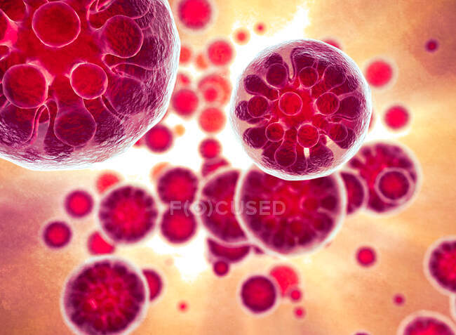 Illustration von Sporen des hefeähnlichen Pilzes Histoplasma capsulatum. Beim Einatmen können diese Sporen eine Atemwegserkrankung namens Histoplasmose auslösen — Stockfoto