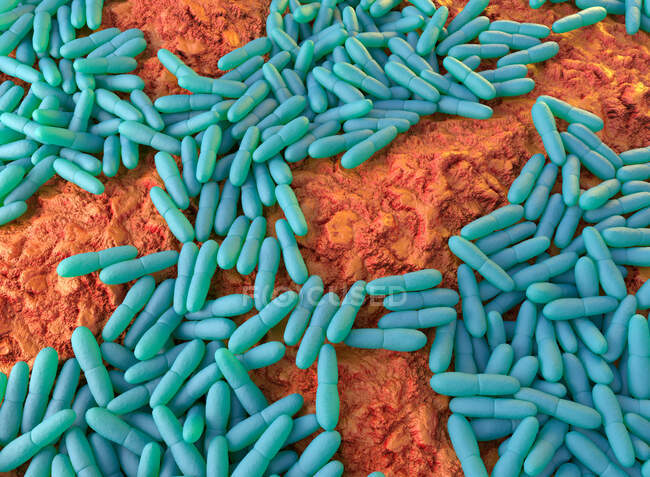 Ілюстрація Mycobacterium leprae, грам-позитивних бактерій, які є причиною хвороби Хансена. — стокове фото