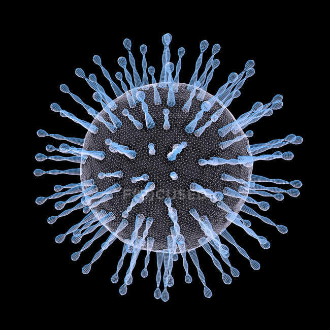 Particule de coronavirus, illustration informatique. Différentes souches de coronavirus sont responsables de maladies telles que le rhume, la gastro-entérite et le SRAS (syndrome respiratoire aigu sévère).) — Photo de stock