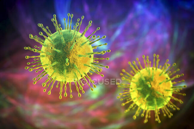 Coronavirus particles, computer illustration. Different strains of coronavirus are responsible for diseases such as the common cold, gastroenteritis and SARS (severe acute respiratory syndrome) — Stock Photo