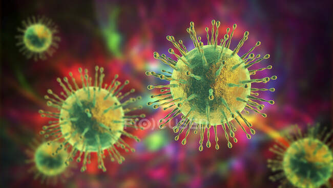 Частинки коронавірусу, комп'ютерна ілюстрація. Різні штами коронавірусу відповідають за такі захворювання, як застуда, гастроентерит та САРС (синдром сильного гострого дихання).) — стокове фото