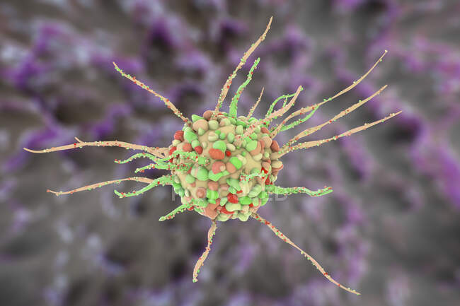 Дендрична клітина, комп'ютерна ілюстрація. Дендритні клітини - це тип білих кров'яних клітин. Це антиген-презентуюча клітина (APC), яка представляє антигени Т-лімфоцитам.. — стокове фото