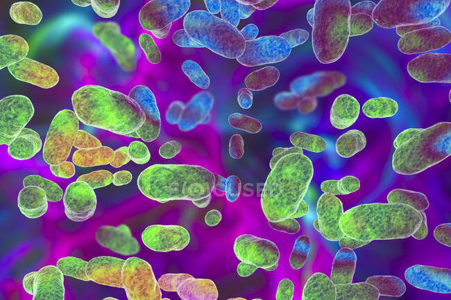 Porphyromonas gingivalis bactérie orale, illustration par ordinateur. P. gingivalis (anciennement Bacteroides gingivalis) fait partie de la flore normale de la bouche, de l'intestin et des voies urogénitales — Photo de stock