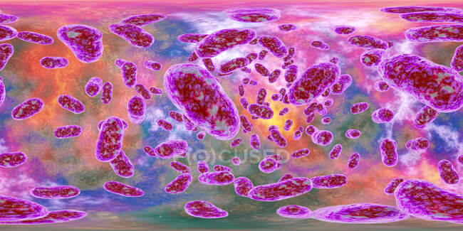 Porphyromonas gingivalis oral bacterium, 360 градусів панорама - комп'ютерна ілюстрація. P. gingivalis (раніше відомий як Bacteroides gingivalis) є частиною нормальної флори рота, кишечника і урогенітального шляху. — стокове фото