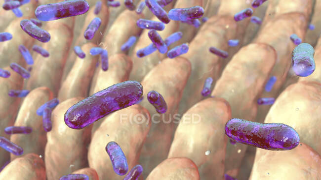 Computerillustration von Bakterien auf der Oberfläche von Darmzotten — Stockfoto