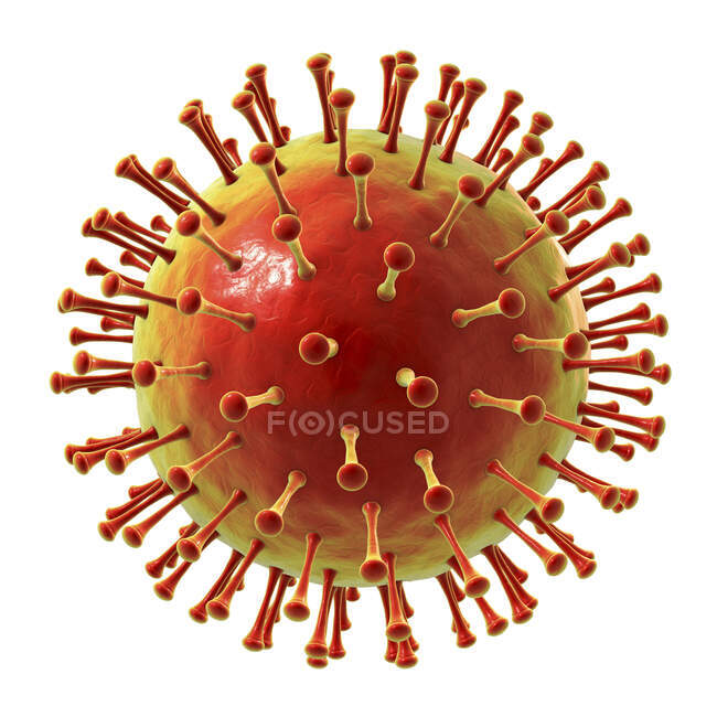 Virus particle, computer illustration — Stock Photo