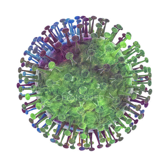 Группа вирусов, компьютерная иллюстрация — стоковое фото