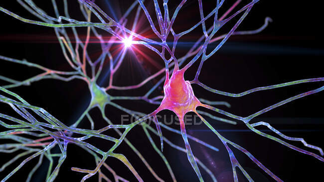 Neuroni piramidali della corteccia cerebrale umana, illustrazione al computer — Foto stock