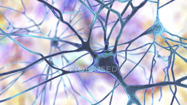 Neurônios piramidais do córtex cerebral humano, ilustração computacional — Fotografia de Stock