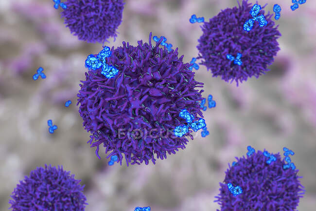 Cellules B et anticorps, illustration informatique — Photo de stock