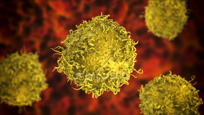 Célula cancerígena do estômago, ilustração do computador — Fotografia de Stock