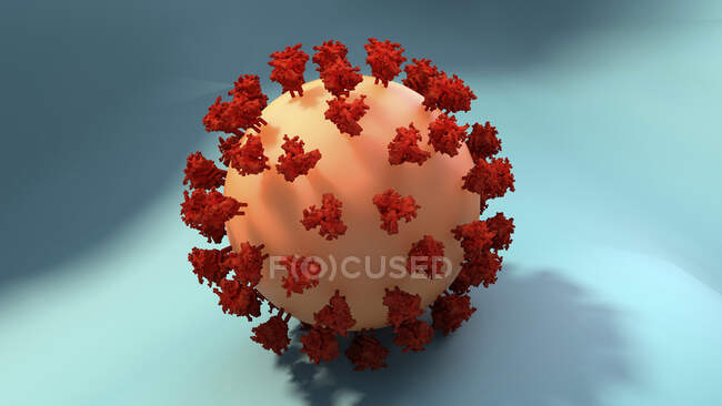 Partícula del coronavirus, ilustración. Diferentes cepas de coronavirus son responsables de enfermedades como el resfriado común, gastroenteritis y SARS (síndrome respiratorio agudo grave) - foto de stock