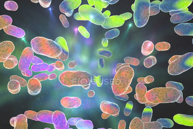 Porphyromonas gingivalis orales Bakterium, Computerillustration. P. gingivalis (früher bekannt als Bacteroides gingivalis) ist Teil der normalen Mund-, Darm- und Urogenitalflora — Stockfoto