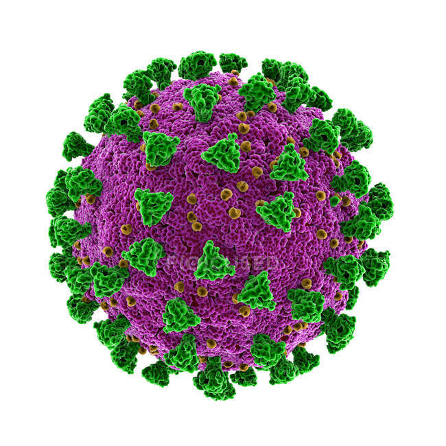 Particella di Covid-19 coronavirus, illustrazione del computer. Il nuovo coronavirus SARS-CoV-2 (precedentemente 2019-CoV) è emerso a Wuhan, in Cina, nel dicembre 2019 — Foto stock