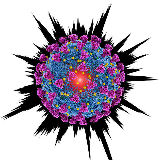 Partícula del coronavirus Covid-19, ilustración por computadora. El nuevo coronavirus SARS-CoV-2 (anteriormente 2019-CoV) surgió en Wuhan, China, en diciembre de 2019 - foto de stock