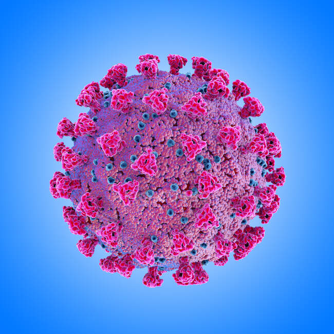 Covid-19 coronavirus particle, computer illustration. The new coronavirus SARS-CoV-2 (previously 2019-CoV) emerged in Wuhan, China, in December 2019 — Stock Photo