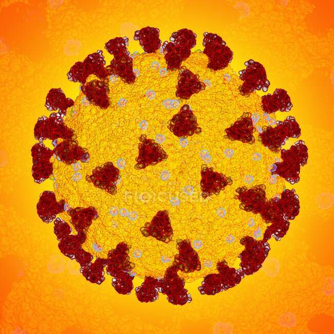Particule de coronavirus Covid-19, illustration informatique. Le nouveau coronavirus SRAS-CoV-2 (anciennement 2019-CoV) est apparu à Wuhan, en Chine, en décembre 2019. — Photo de stock