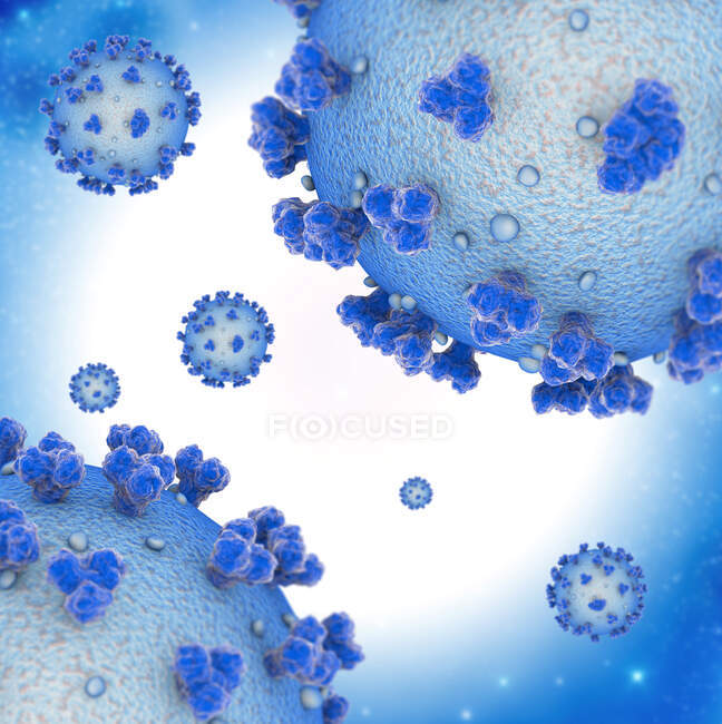 Covid-19 coronavirus particles, computer illustration. El nuevo coronavirus SARS-CoV-2 (anteriormente 2019-CoV) surgió en Wuhan, China, en diciembre de 2019 - foto de stock